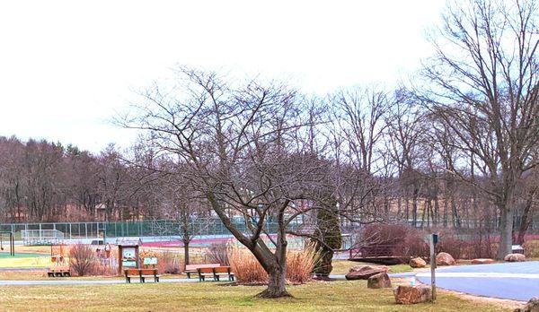 East Goshen Township Park -- tennis courts