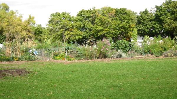 Community gardens in the front of the park