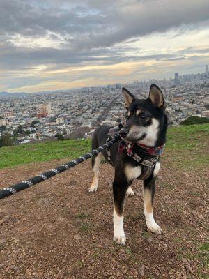 Bernal Heights