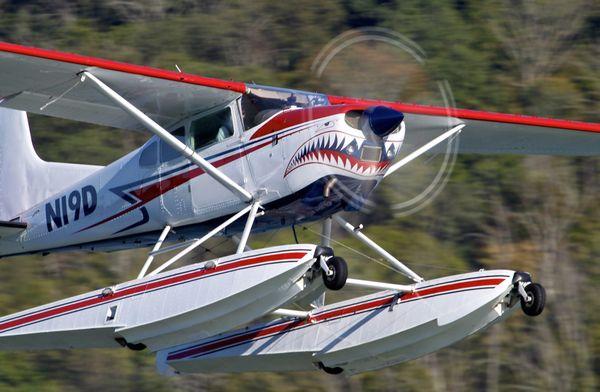 Shark Aviation's Cessna 185 amphibious seaplane flying.