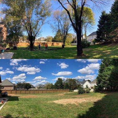 11 trees removed and 16 stumps...Grading for to fix drainage and landscape reno photos coming soon