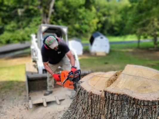 Johnston Tree Service