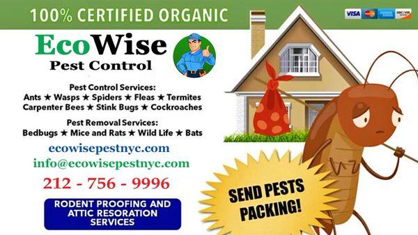 New York City Pest Control Specialists