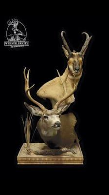 Pedestal done by Werner Family Taxidermy