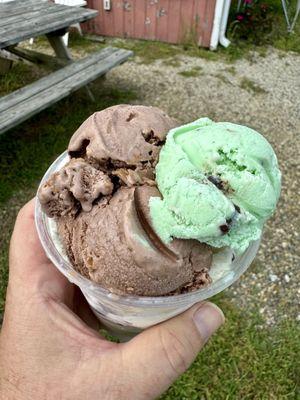 Ice cream flight with Chocolate PB & Mint Chocolate Chip