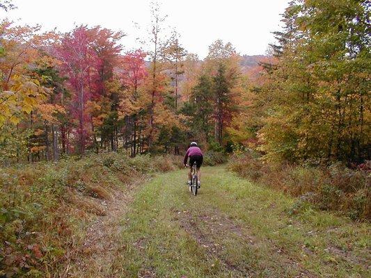 The mountain biking is fantastic at Sleepy Hollow!