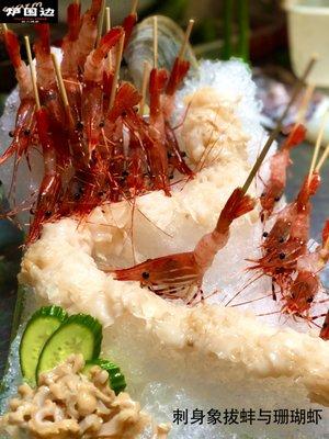 Geoduck Sashimi and Coral Shrimp