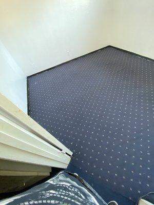 The before and after of my carpet. You can definitely see the difference!