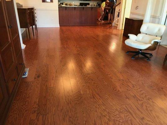 New 5 inch oak floors