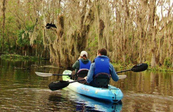 Kayak Florida