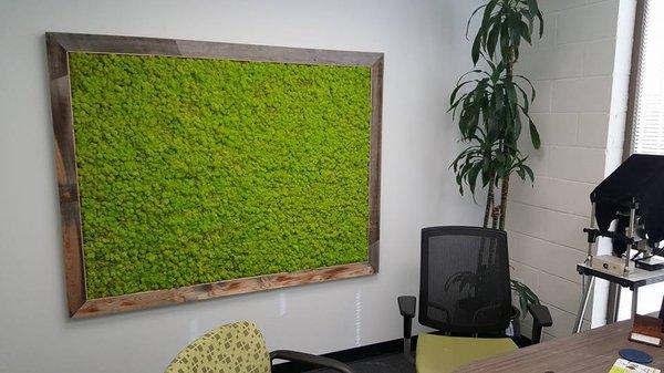 Moss Wall - My Office