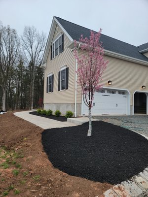 Installed a new walkway with plantings in a brand new home.