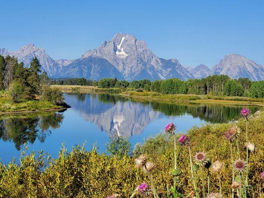 Wild Wyoming Tours