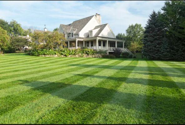 This is what you can get with our business a nice and neat lawn