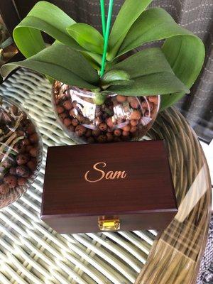 Showing the wooden box that holds our Sam's ashes.