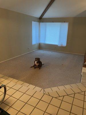 Old living room with sunken floor