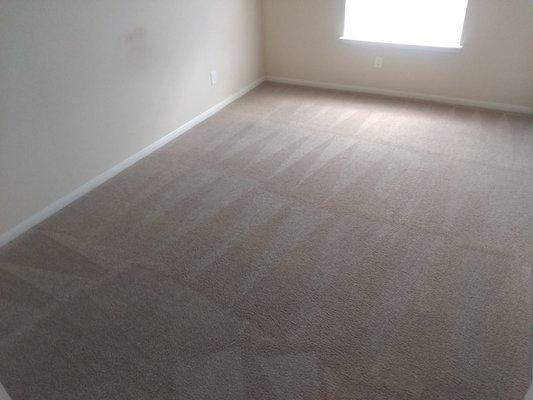 Carpet cleaning services