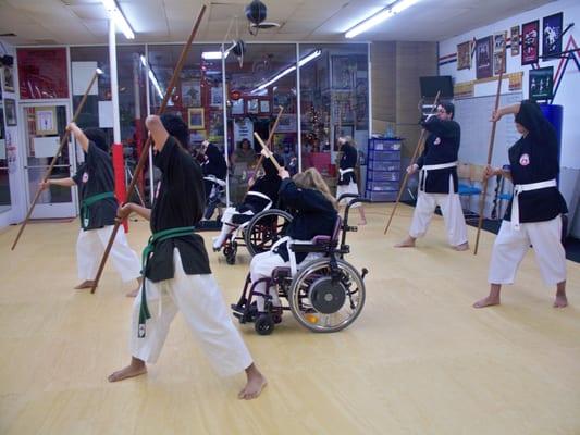 The leading adapted/therapeutic  Okinawan weapons program.