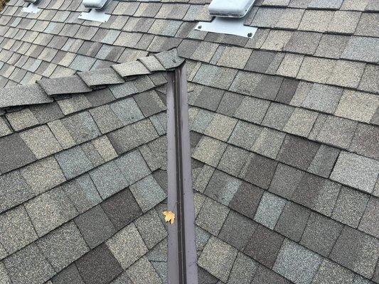 Shingles, Shake, Metal and flat roofs are all applications Platinum Roofing & Co specialize in.