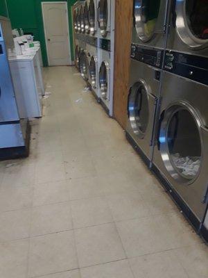 Fingerprints, spider webs, spiders, and mold all over the dryer doors