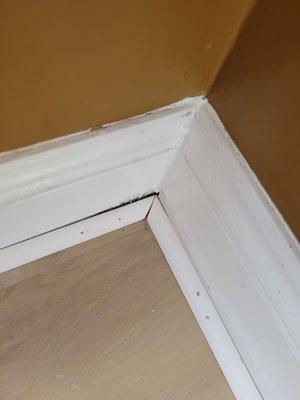 Trim not tacked down or caulked