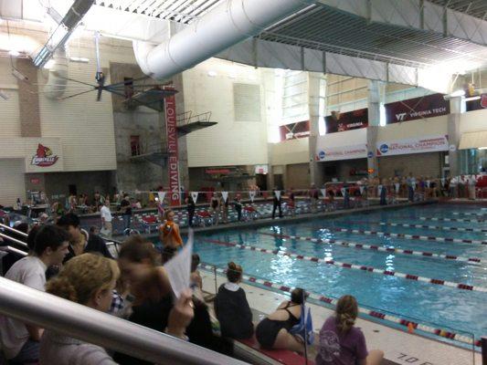 Starting blocks with diving area behind