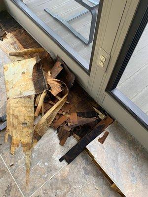 Subfloor damage in Sunspace Sunroom.