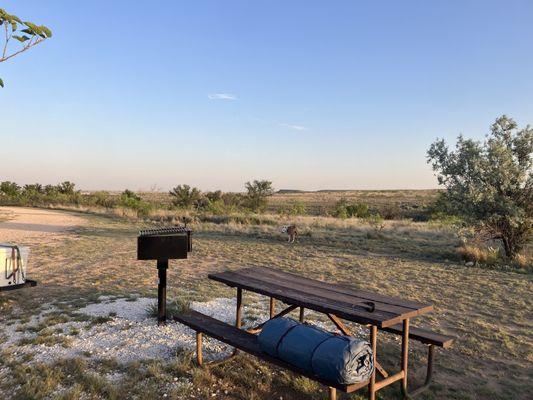 Muleshoe National Wildlife Refuge