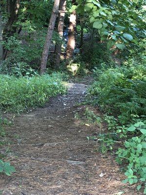 Treacherous steep path to river