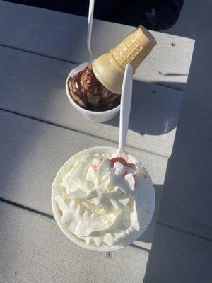 Peanut Butter Lover's Sundae on the bottom and 2 scoops in a cup on top.