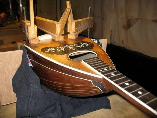 Repair Shop: repairing the back of a Mandolin