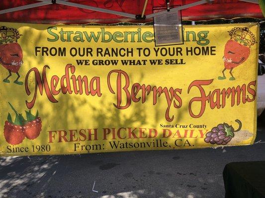 Medina Berrys Farms