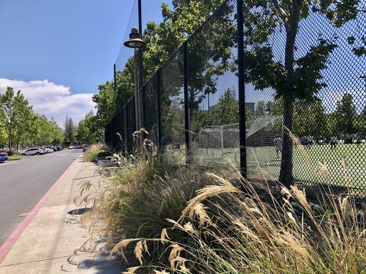 Stanford / Palo Alto Community Playing Fields!!!