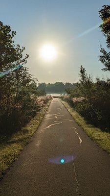 Black Swamp Preserve