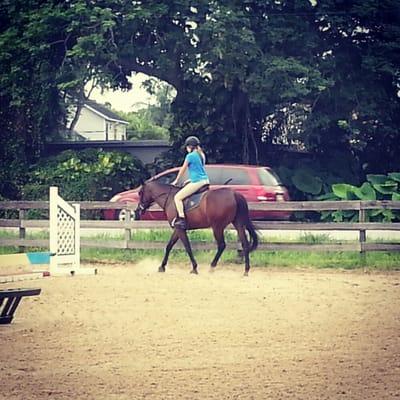 The front / sand dressage ring