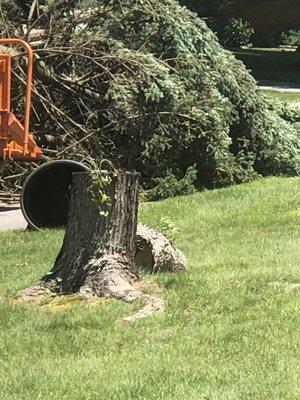 These pictures were taken today 6/24/19. They are back at neighbors attempting to finish the job.