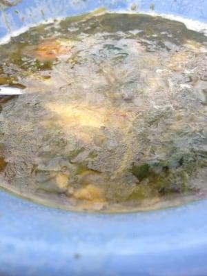 Bone broth soup with nettles, parsnip, and carrot