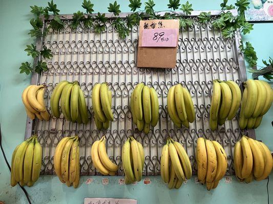 Hanging bananas