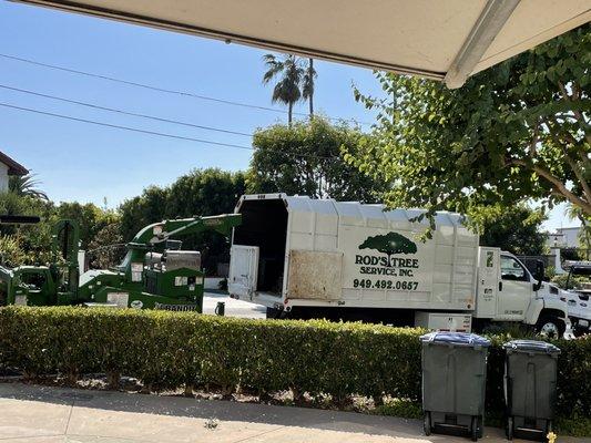 Tree Service truck