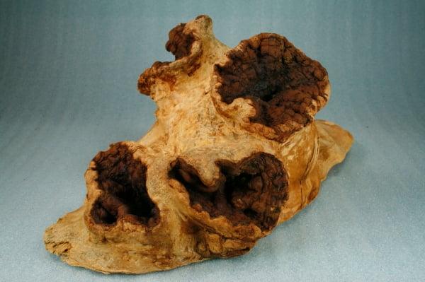 Decorative burl wood. Perfect  for fresh water aquariums, terrariums, or displying plants like orchids and bromeliads.