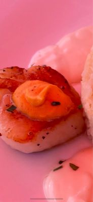 Scallops