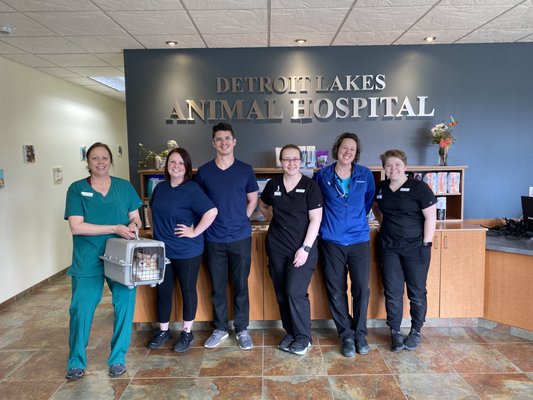 Chair massage event at the Detroit Lakes Animal Hospital!