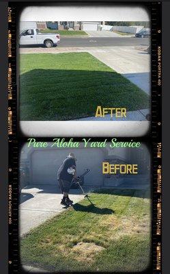 Get us to revive your yard .