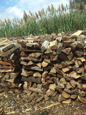 Oak split firewood