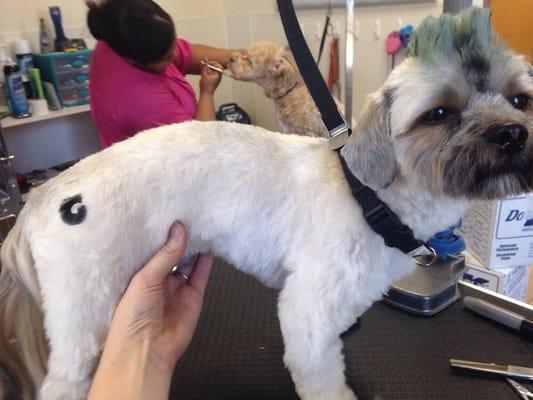 Green Mohawk with a "G" on his hip