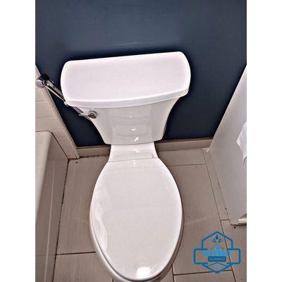 Toilet repair/ Toilet replacement