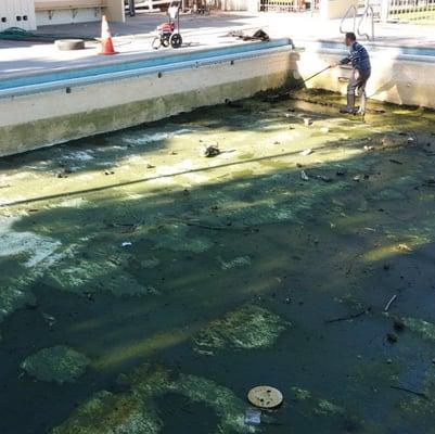 Sousa Park Pool Stockton. This pool sat with no attention for over 7 months it was green slush Before we took over.