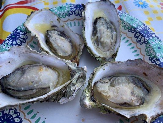 BBQ oysters