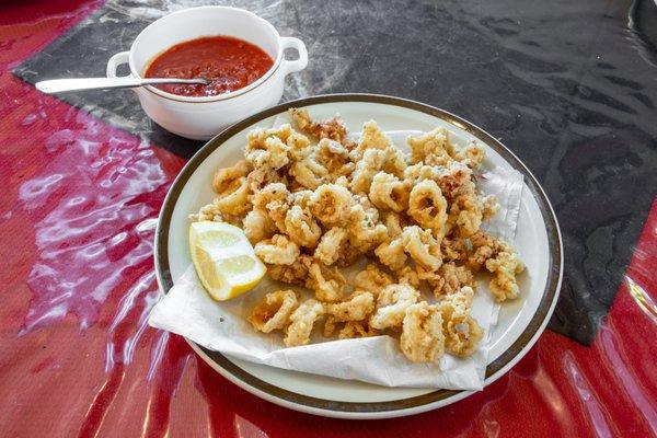 Fried Calamari Appetizer