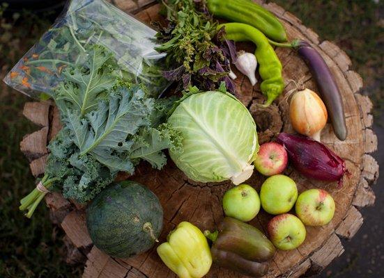 A CSA share from 2016